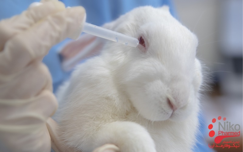 آزمون تحریک زایی،برای ارزیابی پتانسیل یک ماده برای ایجاد تحریک پوست در انسان یا حیوان استفاده می شود.