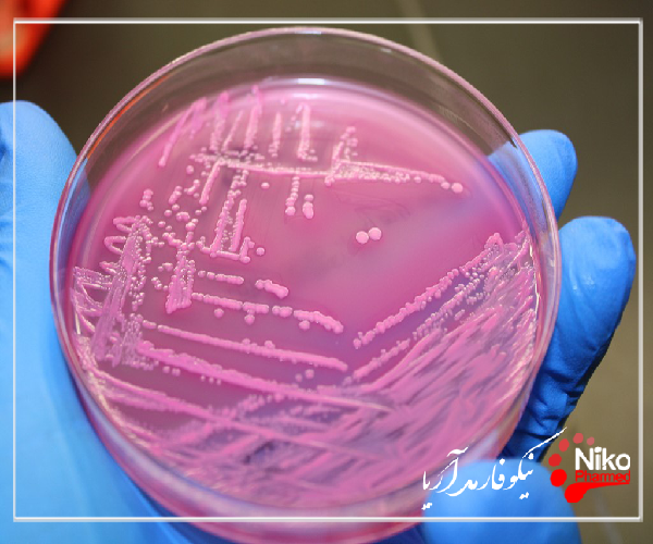 M/تست  سمیت گوارشی