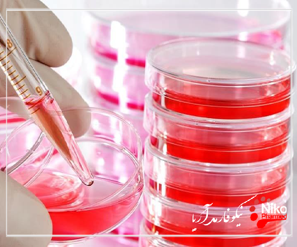 m/تست بایو بودن