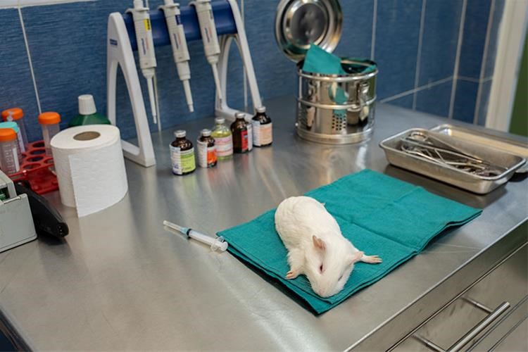 آزمون حساسیت زایی پوستی d/آزمون حساسیت زایی پوستی