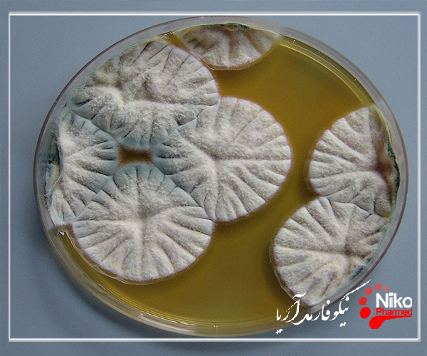 t/آزمون بررسی توان رشد میکروبی