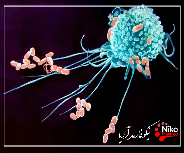 r/عملکرد اندوتوکسین