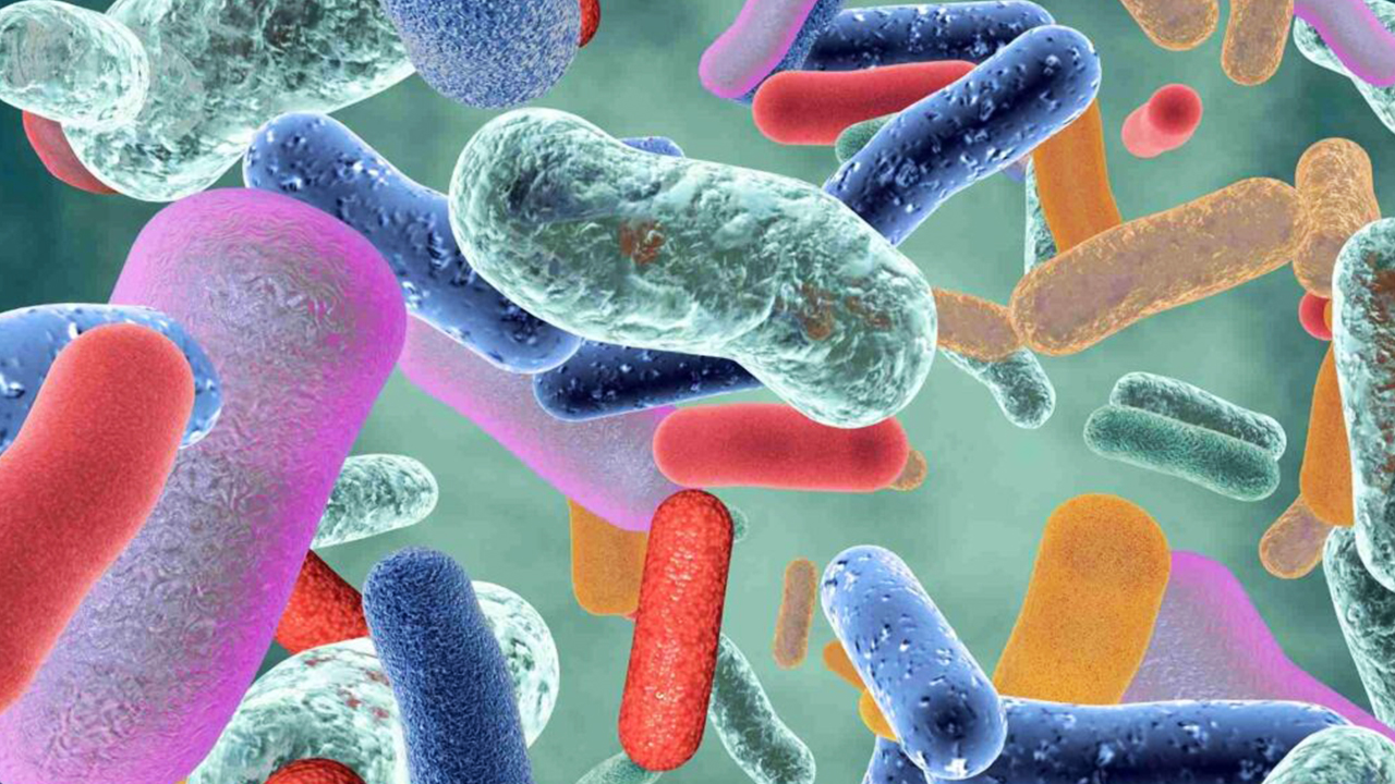 d/تشخیص اشرشیا کلی در محصولات پزشکی