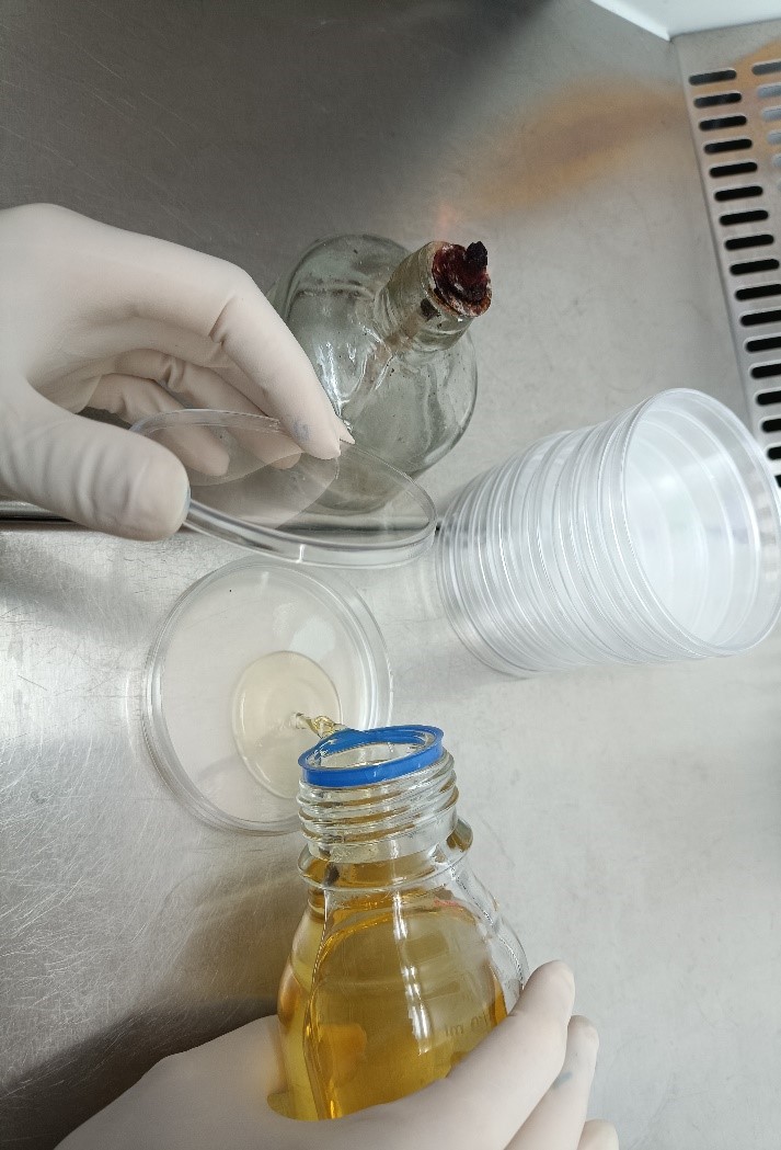 m/روش مستقیم برای آزمایش بار زیستی