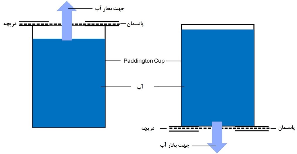 m/پانسمان اولیه ی زخم