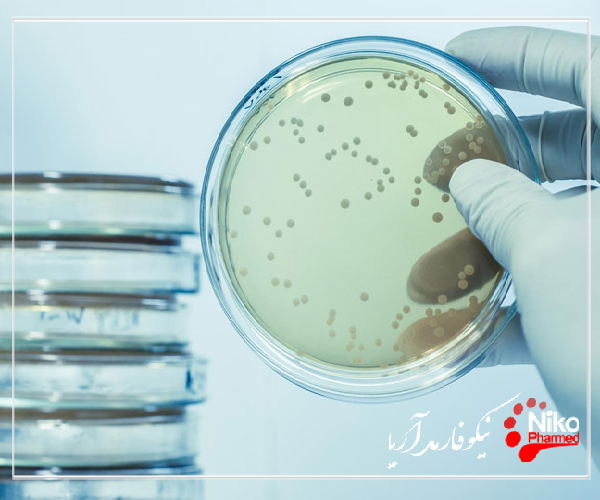 بررسی خاصیت ضد میکروبی به روش انتشار دیسک m/بررسی خاصیت ضد میکروبی به روش انتشار دیسک