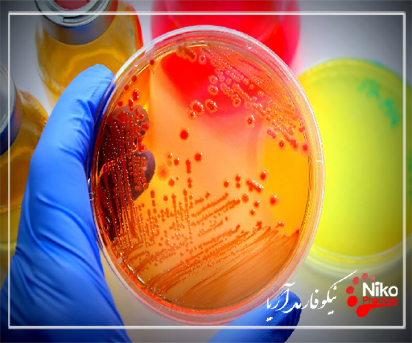 m/پلیت های تماسی حاوی محیط کشت