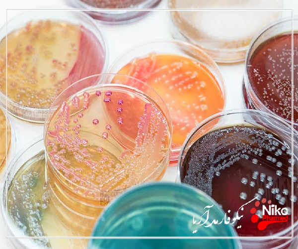 پلیت های آماده میکروبی m/پلیت های آماده میکروبی