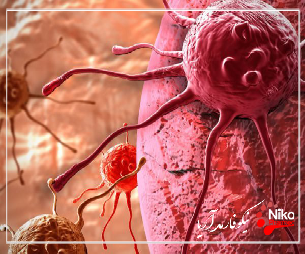 تست چسبندگی سلولی m/تست چسبندگی سلولی