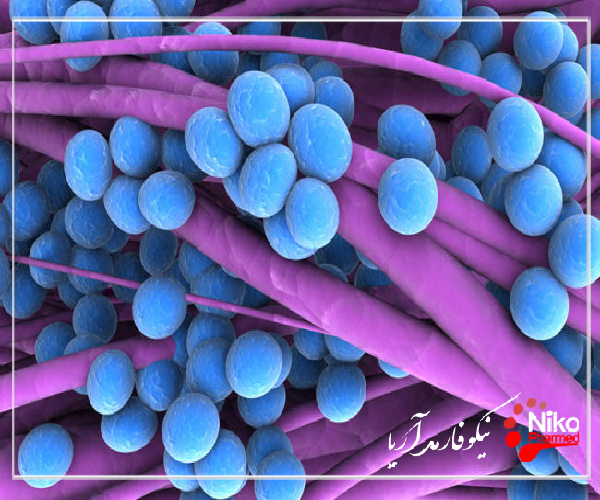 m/تشخیص استاف در محصولات پزشکی