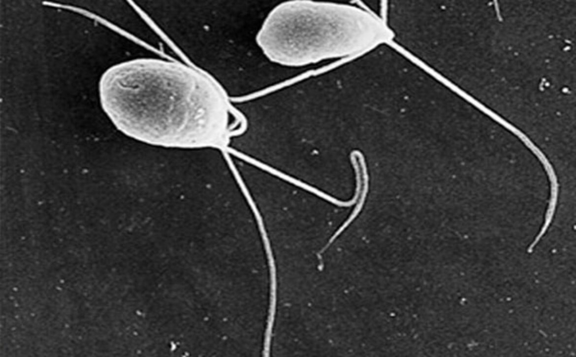 d/تست بایو بودن