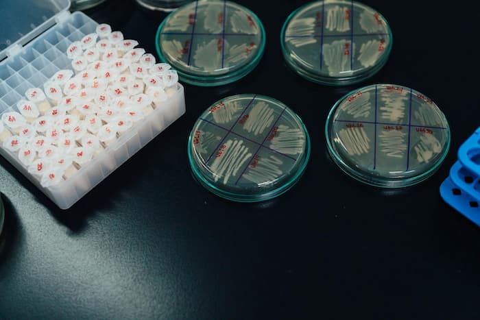 m/بار میکروبی