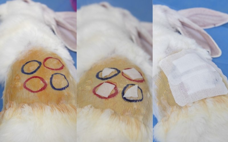 آماده سازی نمونه آزمون و یا عصاره­ گیری از نمونه آزمون