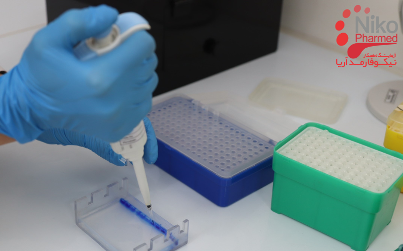 آزمایش PCR برای تشخیص مایکوپلاسما آزمایش PCR برای تشخیص مایکوپلاسما